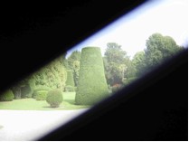 garden seen through a slit