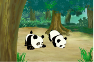 Pandas