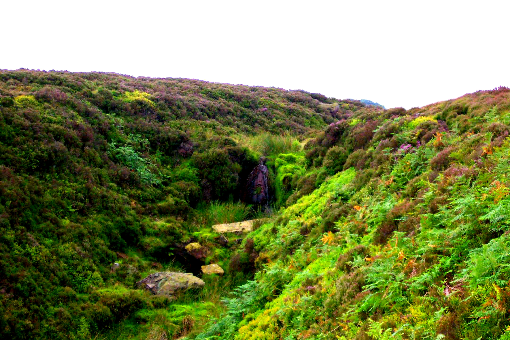 Yorkshire Moors